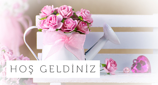 Giriş Banner